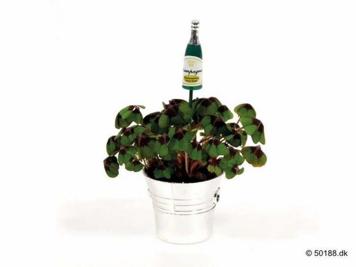 Oxalis deppei T 6 Sektkühler mit Sektflasche
