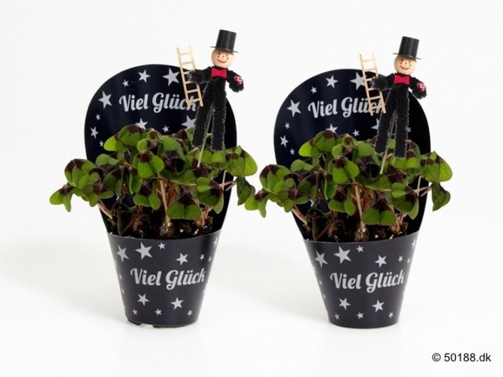 Oxalis deppei T 6 mit Cover "Viel Glück! " mit Schornsteinfeger
