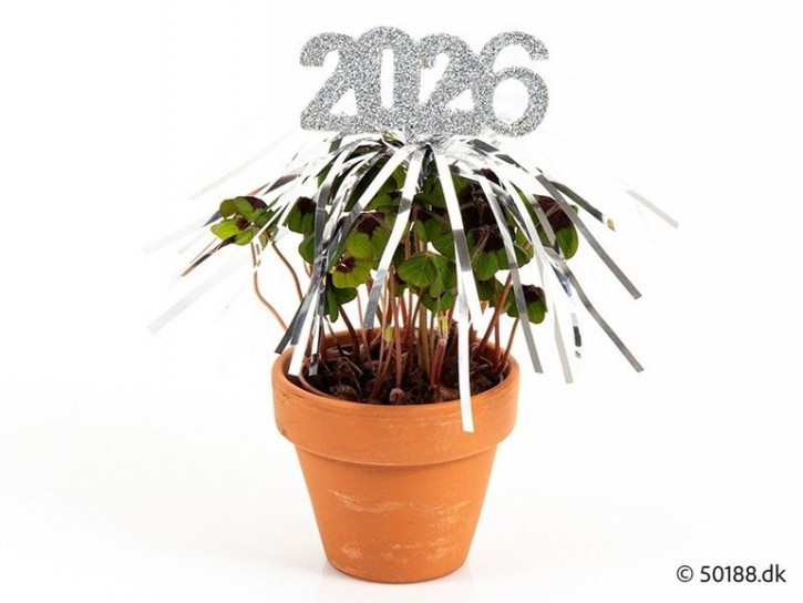 Oxalis deppei T 6 Tontopf, 2026 Stecker