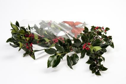 ILEX - HANDBUND, 120 - 140 GR