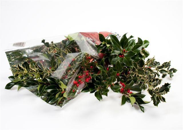 ILEX GRÜN - HANDBUND, 180-200 GR.